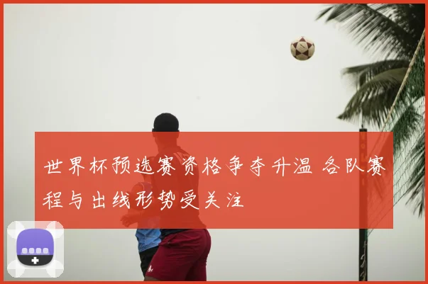 世界杯预选赛资格争夺升温 各队赛程与出线形势受关注