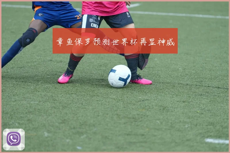 章鱼保罗预测世界杯再显神威