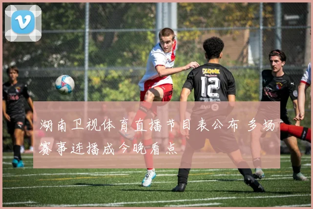 湖南卫视体育直播节目表公布 多场赛事连播成今晚看点